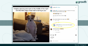 BarkBoX Customer Conversations